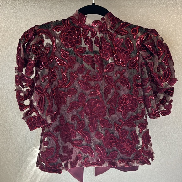 NWT Anthropologie Lace/Sequence Tie Back Puff Sleeve Burgundy Top, XXS petite - Picture 3 of 12